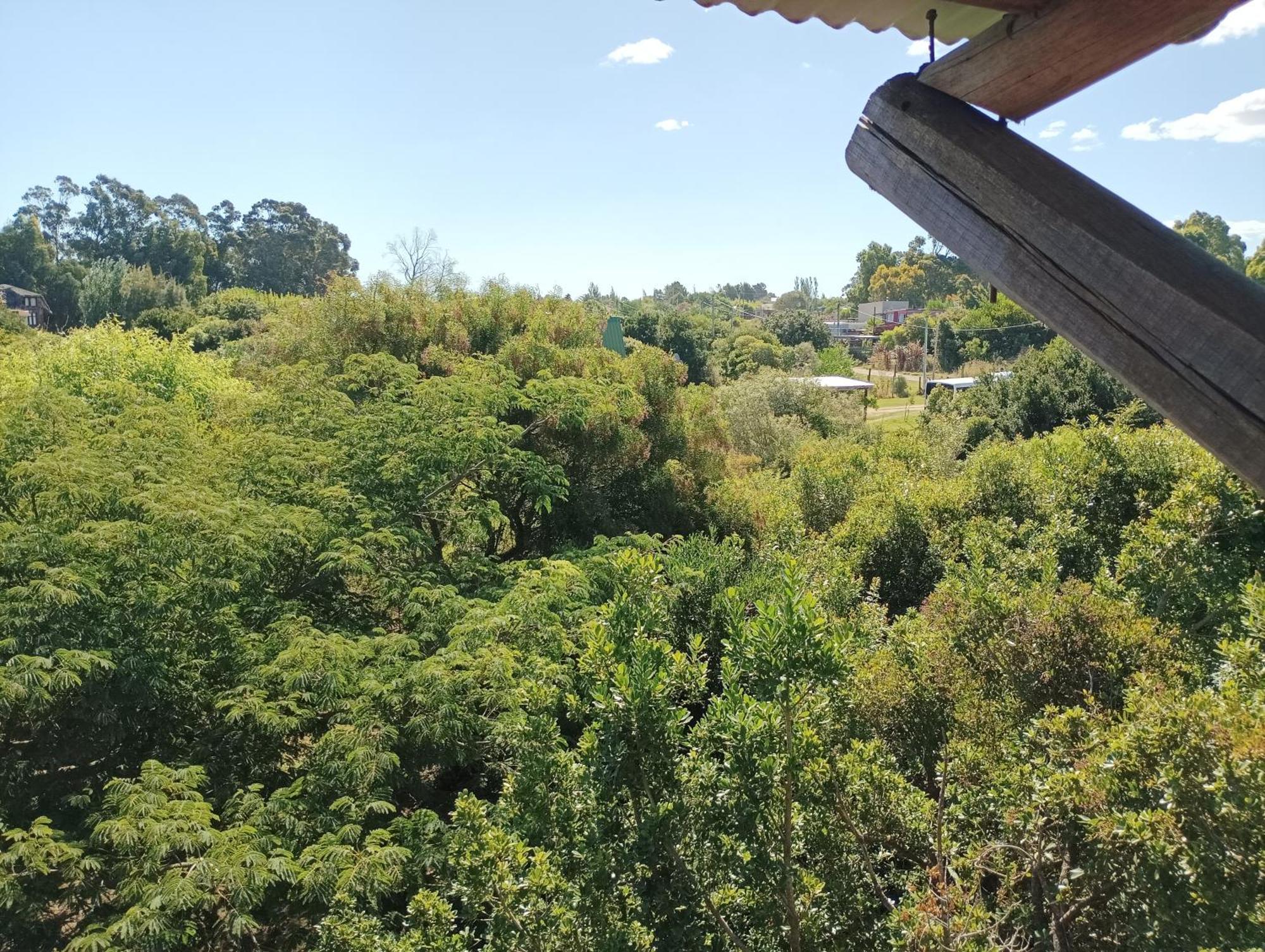 Casas Punta Negra Villa Piriápolis Exteriör bild
